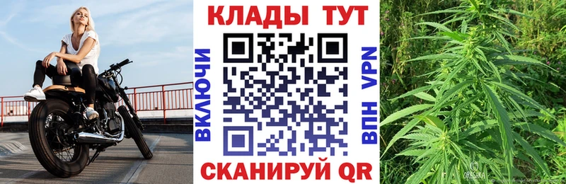 Купить закладку Марихуана  Мефедрон  ГАШИШ  Алексеевка