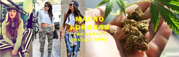 молекула духа Надым